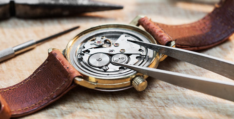 Torino Carrero Watch